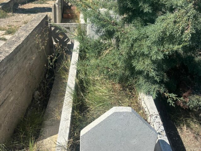 KADİR KOÇAK