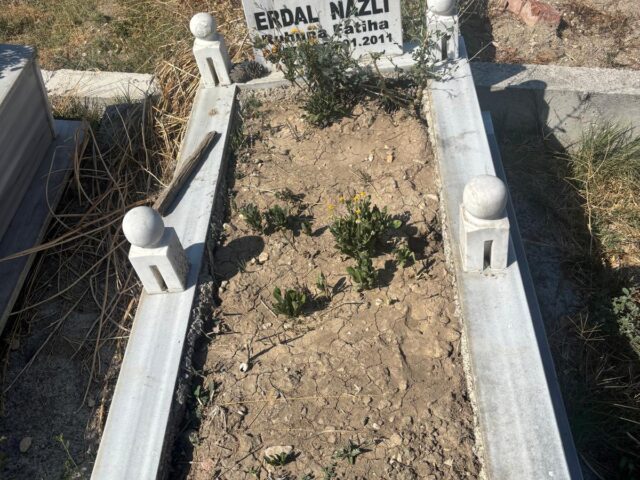 ERDAL NAZLI