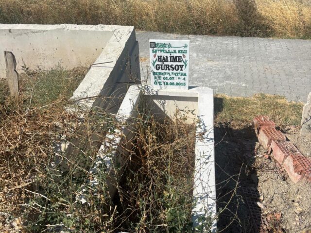 HALİME GÜRSOY