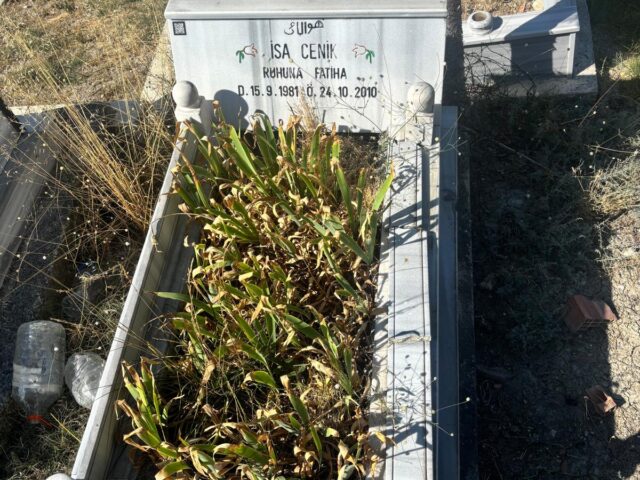 İSA CENİK