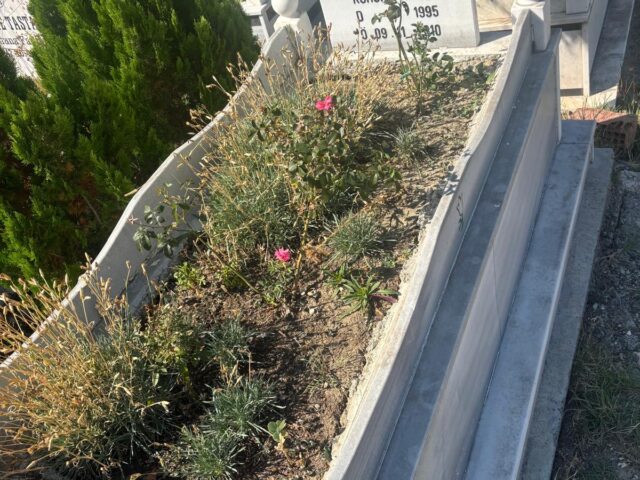 SADİYE VURAL