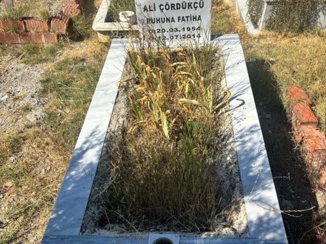ALİ ÇÖRDÜKÇÜ