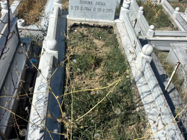 ŞABAN ARAN