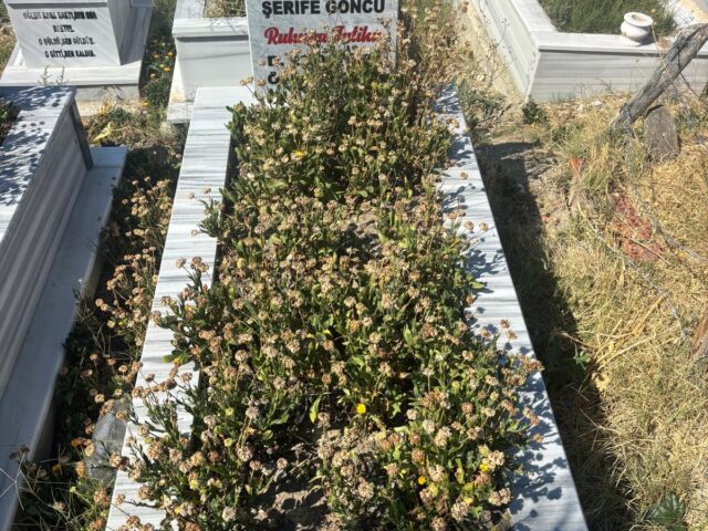 ŞERİFE GÖNCÜ