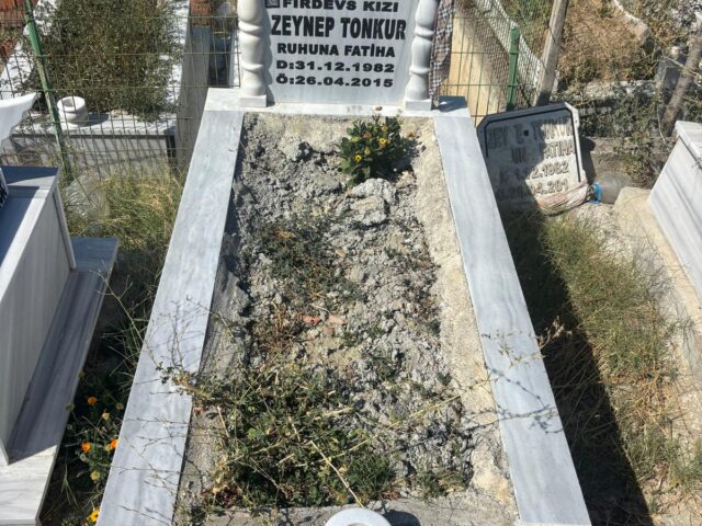 ZEYNEP GÜRSES