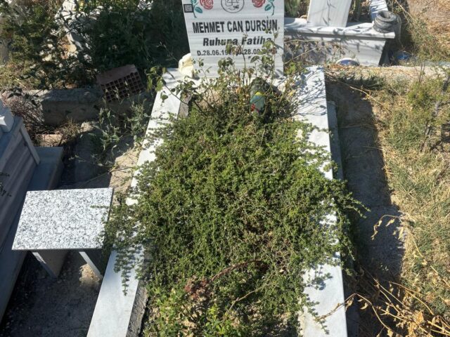 MEHMET CAN DURSUN